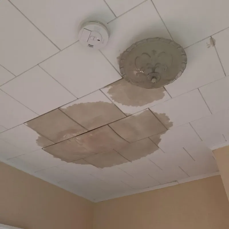 Ceiling Water Damage Repair in DuPont, WA