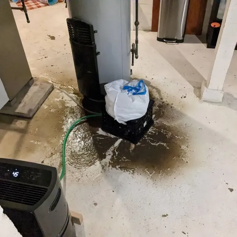 Sewage Backup Cleanup Service in DuPont, WA